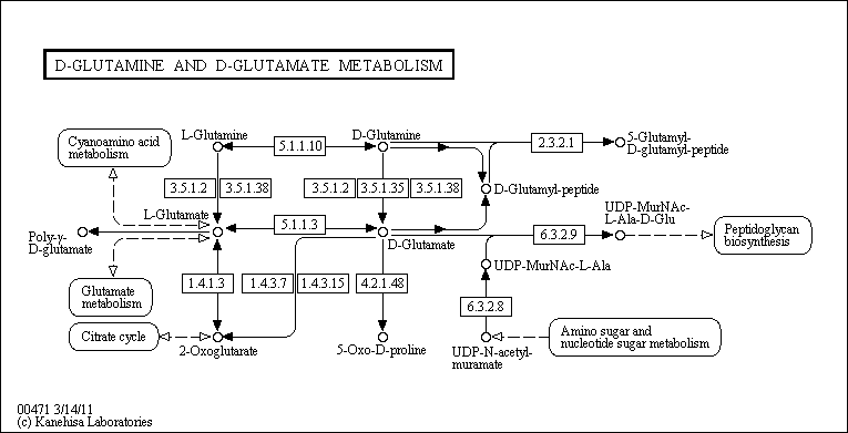 Cell Cycle