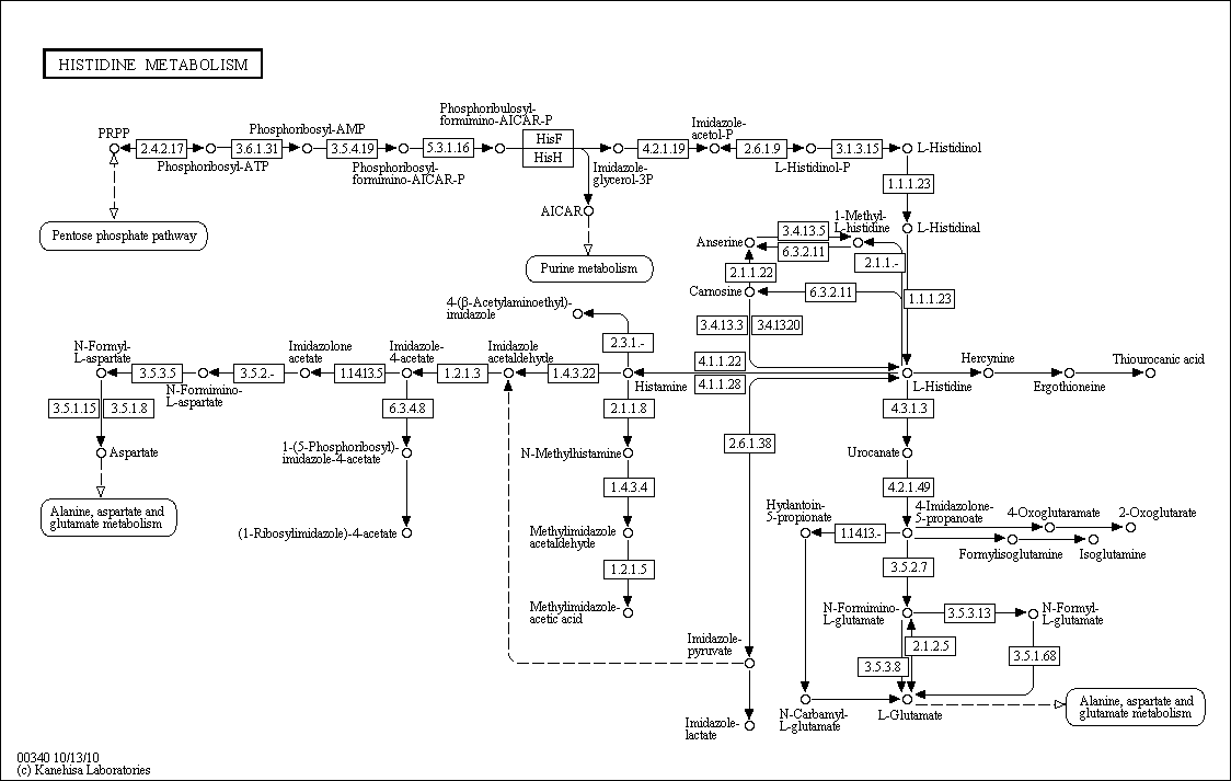 Cell Cycle