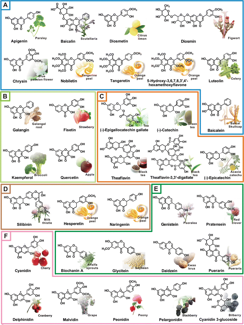 bioflavonoids