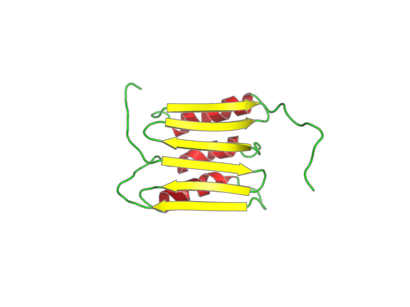 Ribbon image for 2kgs