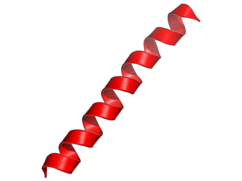 Ribbon image for 2lk9