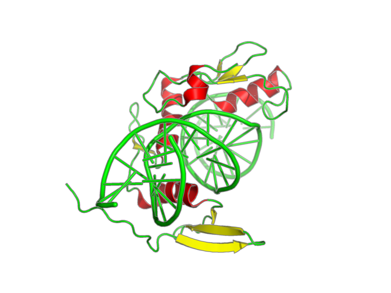 Ribbon image for 2lt7