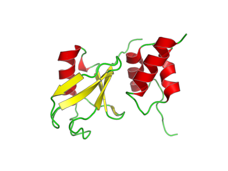 Ribbon image for 2lvo